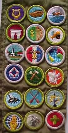 Merit badges on the sash